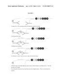 Protein Detection Via Nanoreporters diagram and image