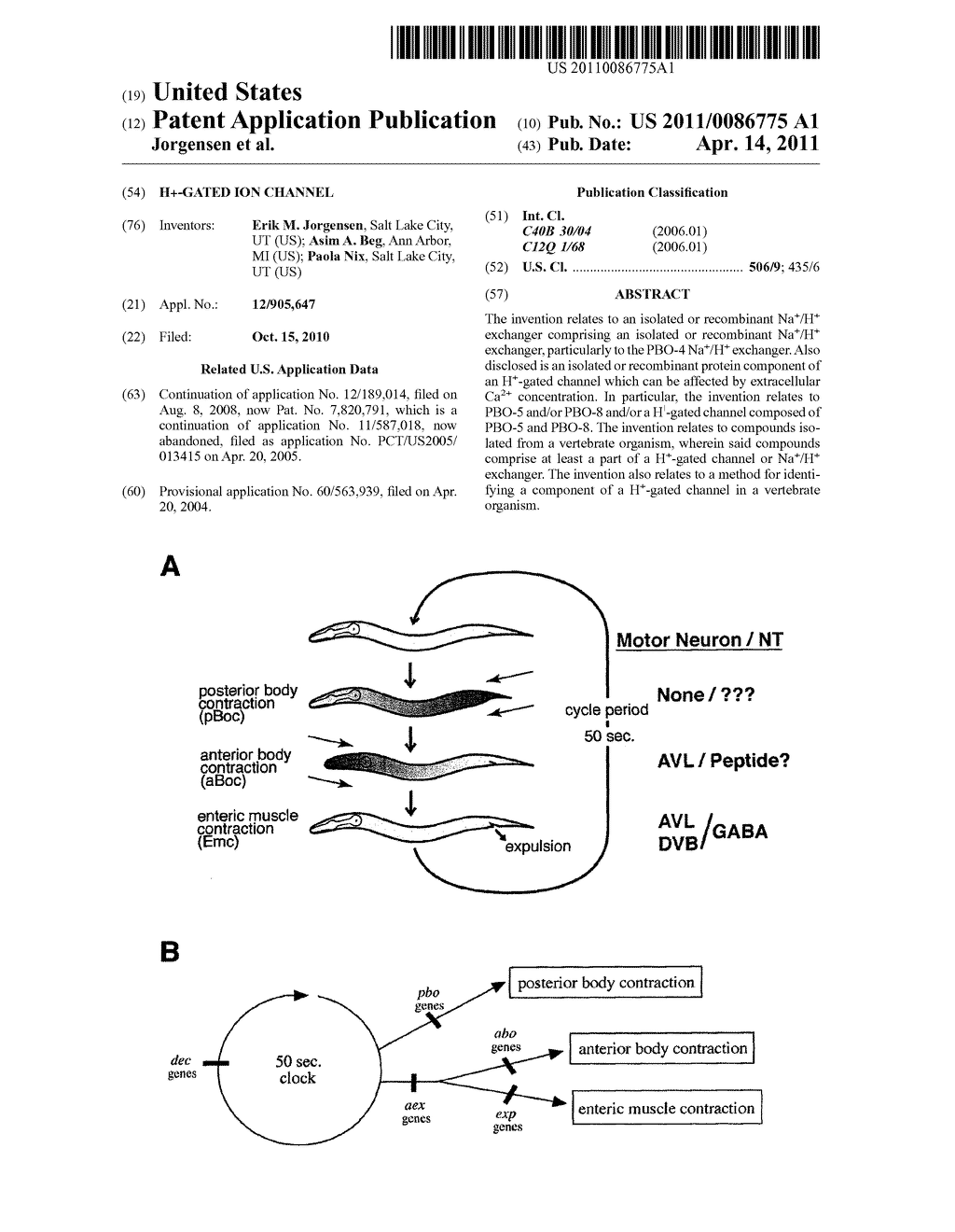 H+-Gated Ion Channel - diagram, schematic, and image 01