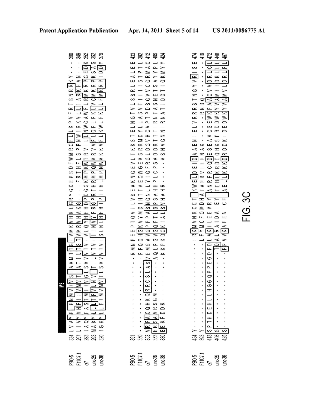 H+-Gated Ion Channel - diagram, schematic, and image 06