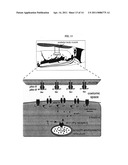 H+-Gated Ion Channel diagram and image