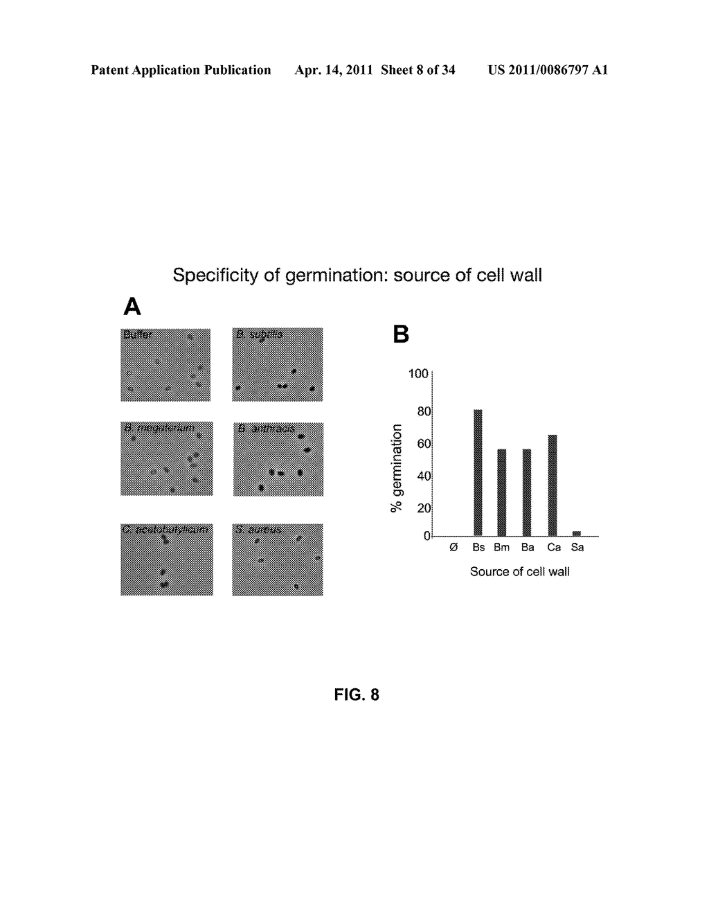 CONTROL OF SPORE GERMINATION - diagram, schematic, and image 09