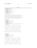 Polypeptides that Bind IL-23R diagram and image