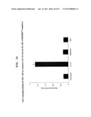 Polypeptides that Bind IL-23R diagram and image