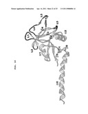 Polypeptides that Bind IL-23R diagram and image