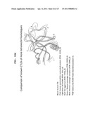 Polypeptides that Bind IL-23R diagram and image