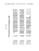 Polypeptides that Bind IL-23R diagram and image