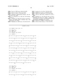 Polypeptides that Bind IL-23R diagram and image