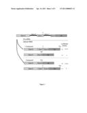 METHODS FOR TREATING SPINAL MUSCULAR ATROPHY diagram and image