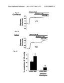 EMERGENCE OF A R-TYPE CA2+ CHANNEL (CAV 2.3) CONTRIBUTES TO CEREBRAL ARTERY CONSTRICTION FOLLOWING SUBARACHNOID HEMORRHAGE diagram and image