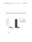 EMERGENCE OF A R-TYPE CA2+ CHANNEL (CAV 2.3) CONTRIBUTES TO CEREBRAL ARTERY CONSTRICTION FOLLOWING SUBARACHNOID HEMORRHAGE diagram and image