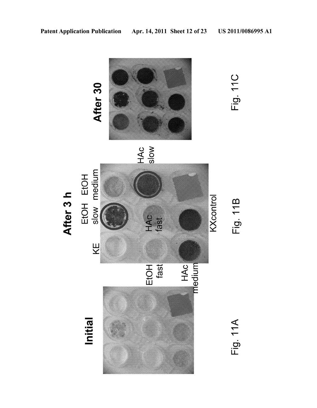 CO-CRYSTALLIZABLE DIACETYLENIC MONOMER COMPOSITIONS, CRYSTAL PHASES AND MIXTURES, AND RELATED METHODS - diagram, schematic, and image 13