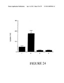 ENHANCED ORAL TRANSCOMPARTMENTAL DELIVERY OF THERAPEUTIC OR DIAGNOSTIC AGENTS diagram and image