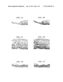 Methods and apparatus for locating the fossa ovalis and performing transseptal puncture diagram and image