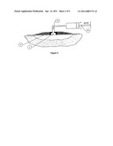 WOUND CLEANSING APPARATUS IN-SITU diagram and image