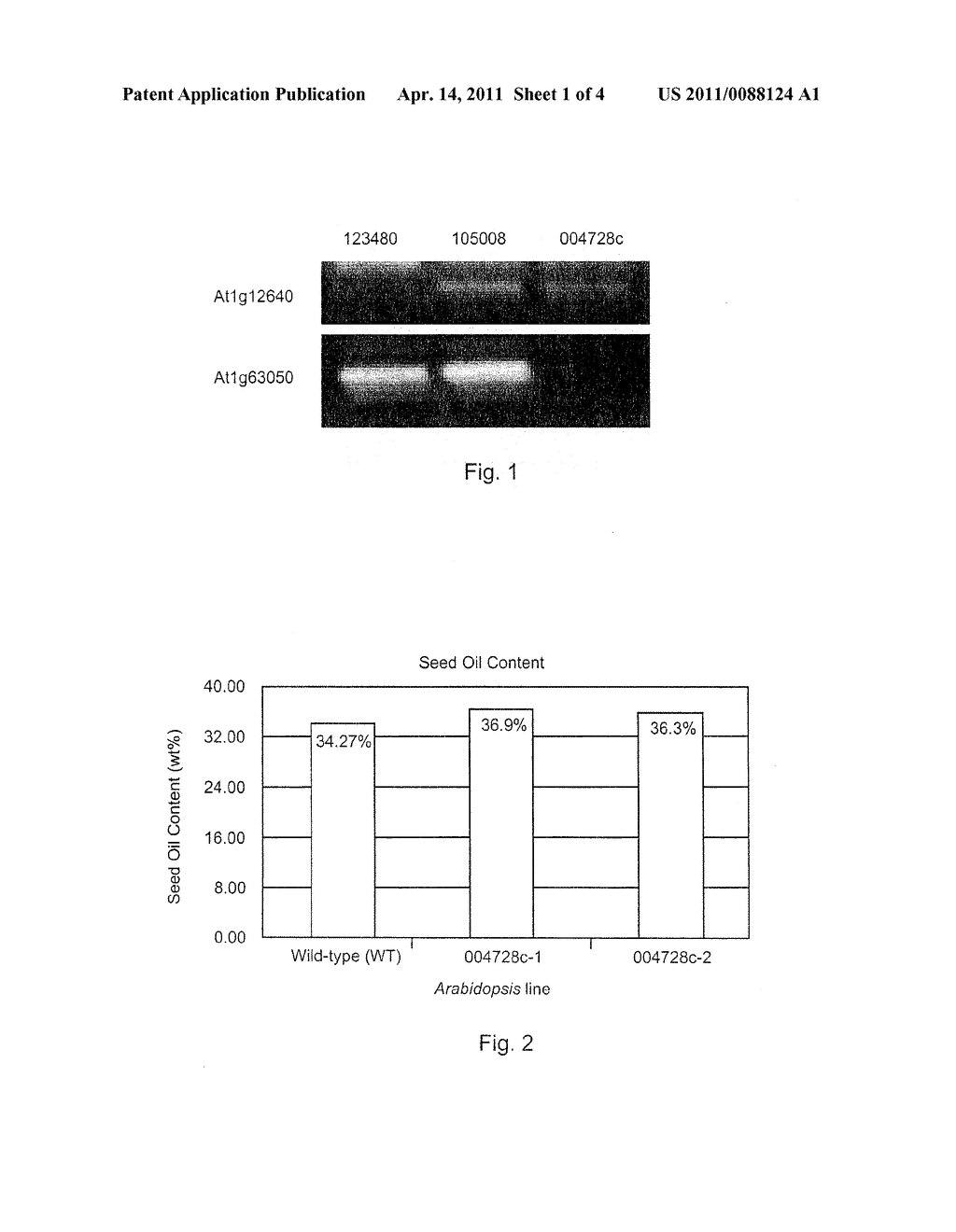 REDUCTION OF LYSO-PHOSPHATIDYLCHOLINE ACYLTRANSFERASE ACTIVITY - diagram, schematic, and image 02