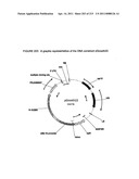 Cell signaling genes and related methods diagram and image