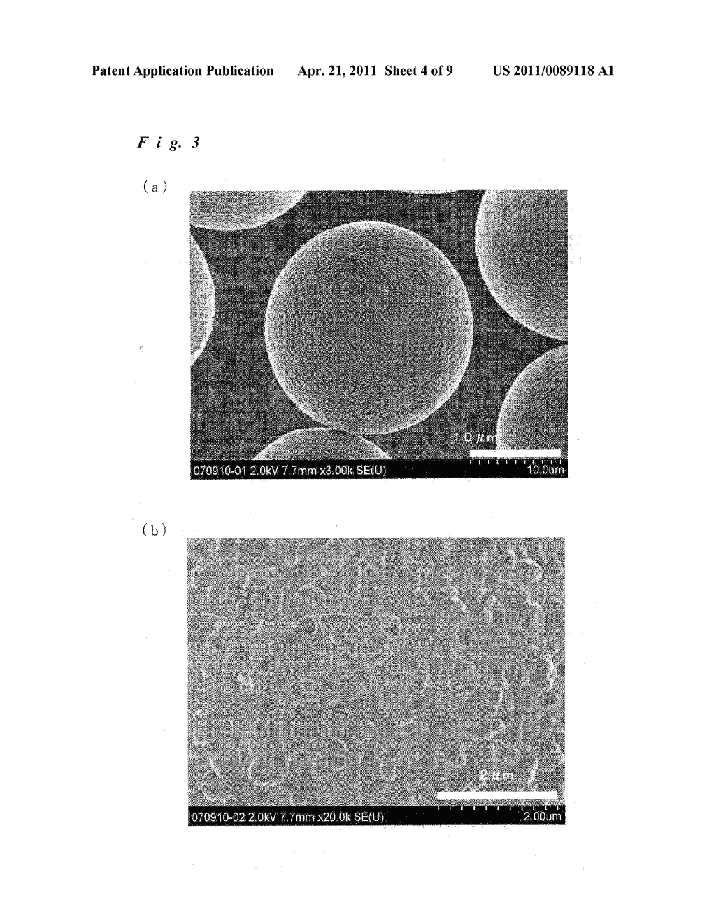 SURFACE-ROUGHENED HIGH-DENSITY FUNCTIONAL PARTICLE, METHOD FOR PRODUCING THE SAME AND METHOD FOR TREATING TARGET SUBSTANCE WITH THE SAME - diagram, schematic, and image 05