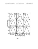 Polarization Standards for Microscopy diagram and image