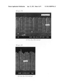 FIELD EMISSION ARRAY HAVING CARBON MICROSTRUCTURE AND METHOD OF MANUFACTURING THE SAME diagram and image