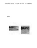 METHOD FOR MANUFACTURING NITROGEN COMPOUND SEMICONDUCTOR SUBSTRATE AND NITROGEN COMPOUND SEMICONDUCTOR SUBSTRATE, AND METHOD FOR MANUFACTURING SINGLE CRYSTAL SIC SUBSTRATE AND SINGLE CRYSTAL SIC SUBSTRATE diagram and image