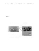 METHOD FOR MANUFACTURING NITROGEN COMPOUND SEMICONDUCTOR SUBSTRATE AND NITROGEN COMPOUND SEMICONDUCTOR SUBSTRATE, AND METHOD FOR MANUFACTURING SINGLE CRYSTAL SIC SUBSTRATE AND SINGLE CRYSTAL SIC SUBSTRATE diagram and image