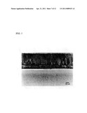 METHOD FOR MANUFACTURING NITROGEN COMPOUND SEMICONDUCTOR SUBSTRATE AND NITROGEN COMPOUND SEMICONDUCTOR SUBSTRATE, AND METHOD FOR MANUFACTURING SINGLE CRYSTAL SIC SUBSTRATE AND SINGLE CRYSTAL SIC SUBSTRATE diagram and image