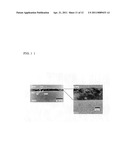 METHOD FOR MANUFACTURING NITROGEN COMPOUND SEMICONDUCTOR SUBSTRATE AND NITROGEN COMPOUND SEMICONDUCTOR SUBSTRATE, AND METHOD FOR MANUFACTURING SINGLE CRYSTAL SIC SUBSTRATE AND SINGLE CRYSTAL SIC SUBSTRATE diagram and image