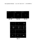 FLOW CYTOMETER APPARATUS FOR THREE DIMENSIONAL DIFRACTION IMAGING AND RELATED METHODS diagram and image