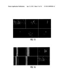 FLOW CYTOMETER APPARATUS FOR THREE DIMENSIONAL DIFRACTION IMAGING AND RELATED METHODS diagram and image