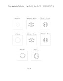 Double Clad Optical Fiber Having Ring Core Surrounding Core For High Power Operation diagram and image