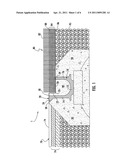 DRAINAGE SYSTEM, APPARATUS, AND METHOD diagram and image