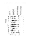 Methods for Sterilizing Tissue diagram and image