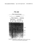 Methods for Sterilizing Tissue diagram and image