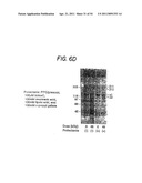 Methods for Sterilizing Tissue diagram and image