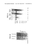 Methods for Sterilizing Tissue diagram and image