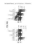 Methods for Sterilizing Tissue diagram and image