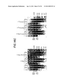 Methods for Sterilizing Tissue diagram and image