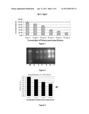 EXTRACT OF PHALERIA MACROCARPA AS AN ANTINEOPLASTIC, ANTI-INFLAMMATORY AND ANTIANGIOGENIC AGENT diagram and image