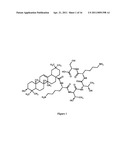 OLEANOYL PEPTIDE COMPOSITION AND A METHOD OF TREATING SKIN AGING diagram and image