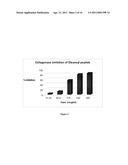 OLEANOYL PEPTIDE COMPOSITION AND A METHOD OF TREATING SKIN AGING diagram and image