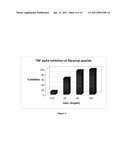 OLEANOYL PEPTIDE COMPOSITION AND A METHOD OF TREATING SKIN AGING diagram and image