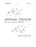 OLEANOYL PEPTIDE COMPOSITION AND A METHOD OF TREATING SKIN AGING diagram and image