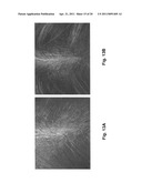 COMPOSITION AND METHODS FOR PROMOTING LUSH HAIR GROWTH diagram and image