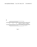 Engineered CXCL12 Alpha Locked Dimer Polypeptide diagram and image