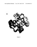 Engineered CXCL12 Alpha Locked Dimer Polypeptide diagram and image