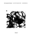 Engineered CXCL12 Alpha Locked Dimer Polypeptide diagram and image