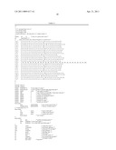 Interleukin-22 Polypeptides, Nucleic Acids Encoding The Same And Methods For The Treatment Of Pancreatic Disorders diagram and image