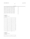 Interleukin-22 Polypeptides, Nucleic Acids Encoding The Same And Methods For The Treatment Of Pancreatic Disorders diagram and image