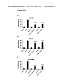 Methods for Enhancing Stem Cell Engraftment During Transplantation diagram and image