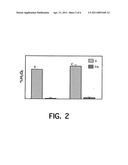 Prophylactic and therapeutic treatment of neuro-degenerative diseases and protein aggregation diseases diagram and image